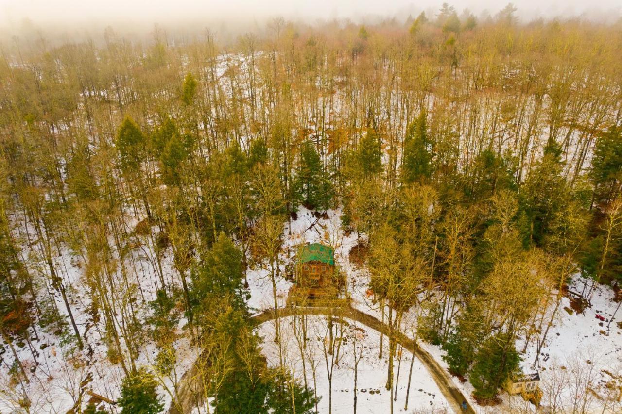 River Road Treehouse Retreat Warrensburg Bagian luar foto